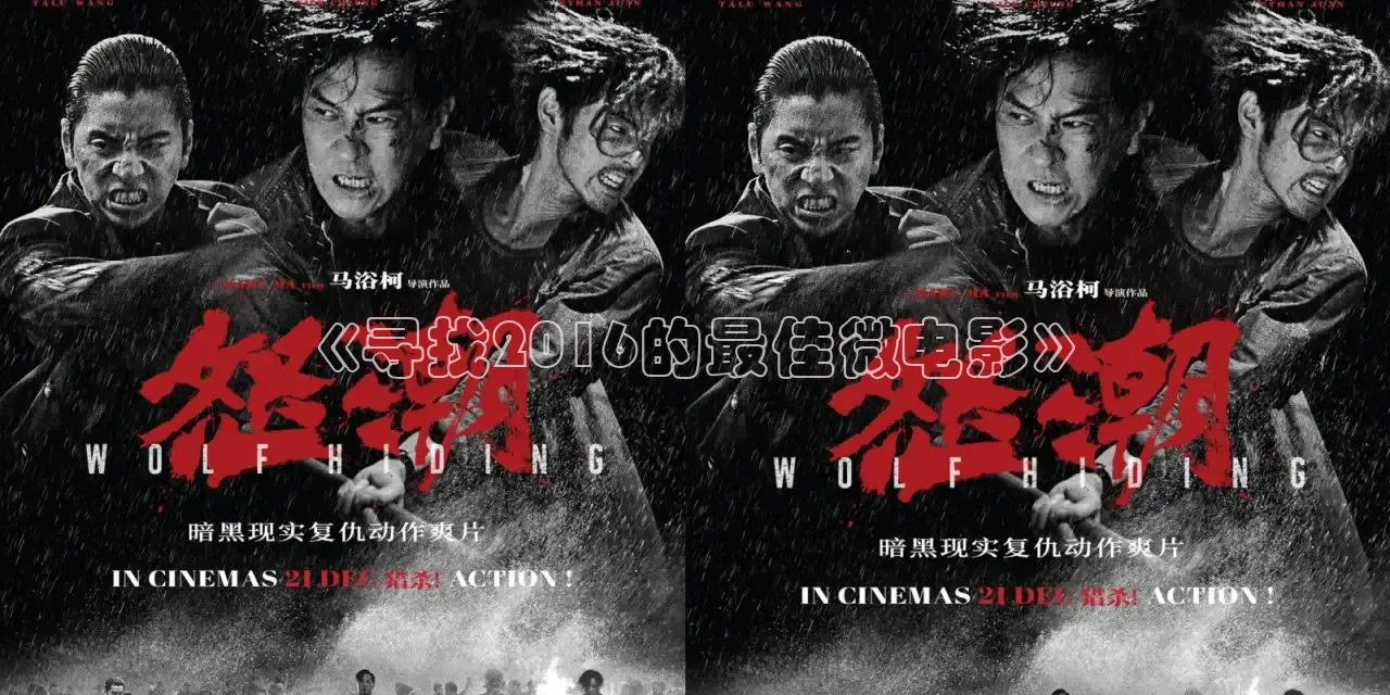 《寻找2016的最佳微电影》